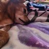lizziesampsell2